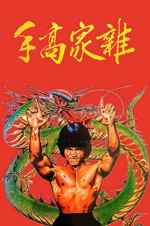 The Dragon, the Hero's poster