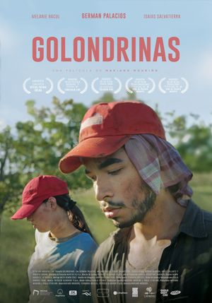 Golondrinas's poster