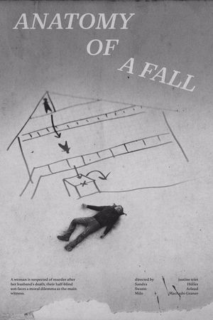 Anatomy of a Fall's poster
