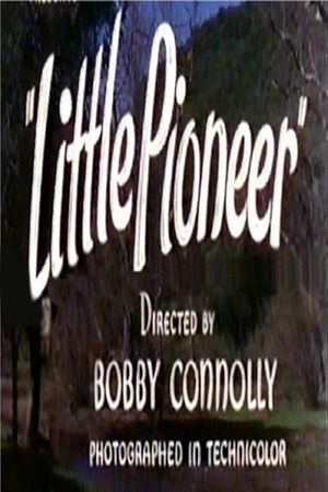 Little Pioneer's poster