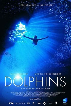 Dolphins's poster
