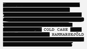 Cold Case Hammarskjöld's poster