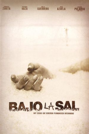Under the Salt's poster
