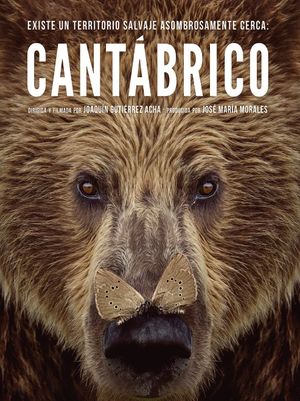 Cantábrico's poster