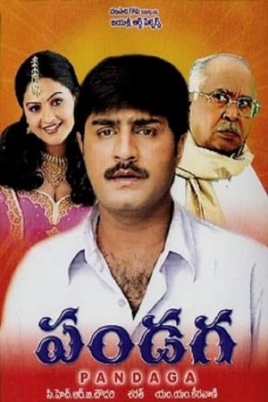 Panduga's poster image