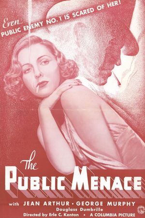The Public Menace's poster