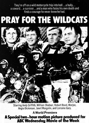 Pray for the Wildcats's poster
