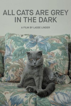 All Cats Are Grey in the Dark's poster