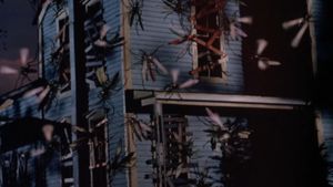 Mosquito's poster