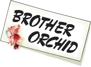Brother Orchid's poster