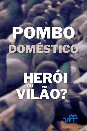 Pombo Doméstico: Herói ou Vilão?'s poster