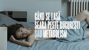 When Evening Falls on Bucharest or Metabolism's poster