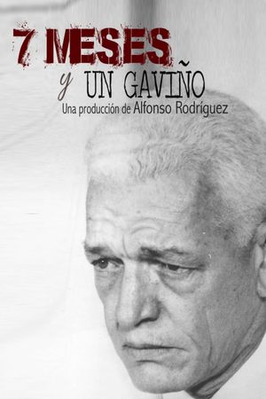 7 meses y un Gaviño's poster