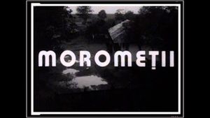 The Moromete Family's poster