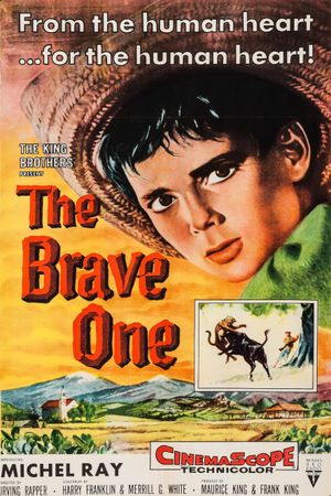 The Brave One's poster