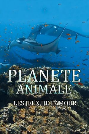 Planète Animale : Les jeux de l'amour's poster