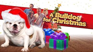 A Bulldog for Christmas's poster