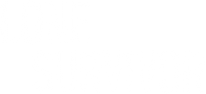 Lone Survivor's poster