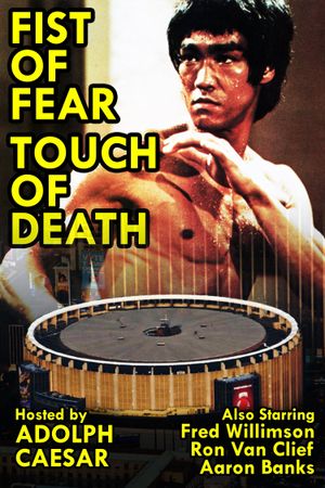 Fist of Fear, Touch of Death's poster