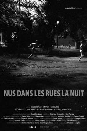 Naked in the Streets at Night's poster