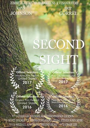 Second Sight's poster image