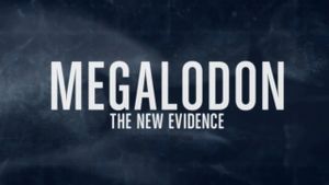 Megalodon: The New Evidence's poster