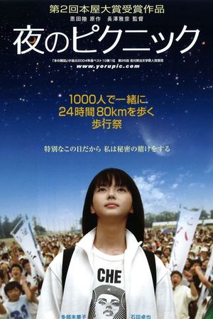 Night Time Picnic's poster