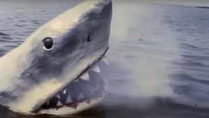 Jaws 1/2's poster