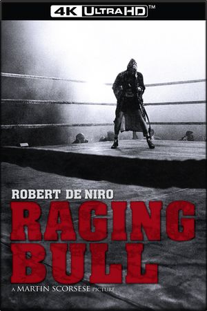 Raging Bull's poster