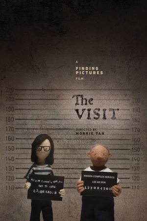 The Visit's poster