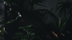 Exotica's poster