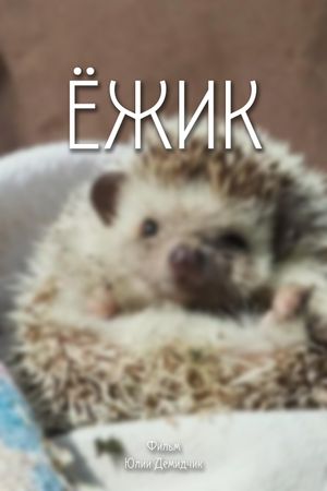Hedgehog's poster