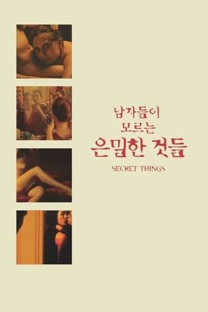 Secret Things's poster