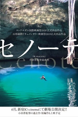 Cenote's poster