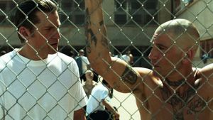 Shot Caller's poster