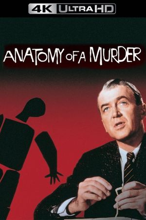 Anatomy of a Murder's poster