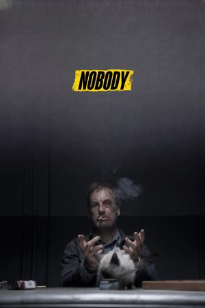 Nobody's poster