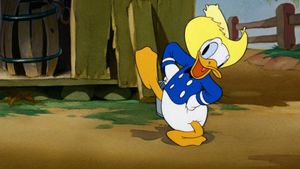 Old MacDonald Duck's poster