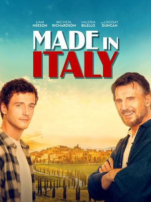 Made in Italy's poster