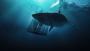 47 Meters Down's poster