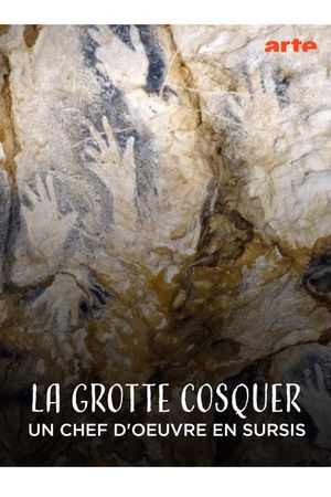La Grotte Cosquer, un chef-d'œuvre en sursis's poster