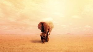 The Elephant Queen's poster