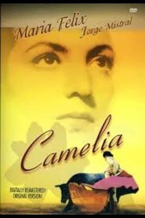 Camelia's poster