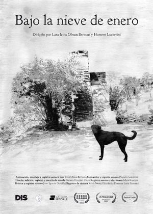 Under the summer snow's poster