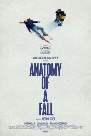 Anatomy of a Fall's poster