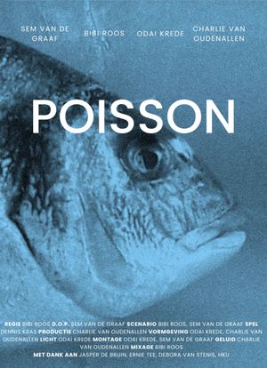 Poisson's poster