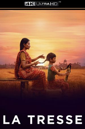 The Braid's poster