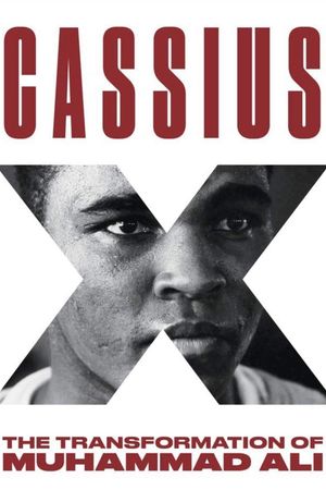 Cassius X: Becoming Ali's poster