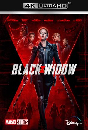 Black Widow's poster