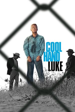 Cool Hand Luke's poster